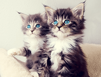 測繪CAD丨批量標注坐標，你不需要嗎？