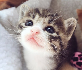 低空無人機測繪：高效、精確、廣泛應用的新興技術